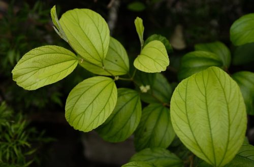 ETF 是什麼?深度探討與認識