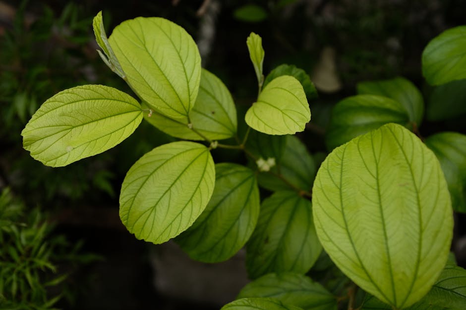 ETF 是什麼？深度探討與認識