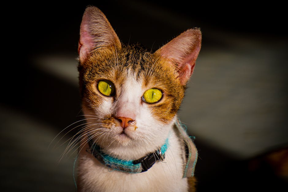 滋潤保濕霜：讓你的肌膚秒變水噹噹的秘密武器